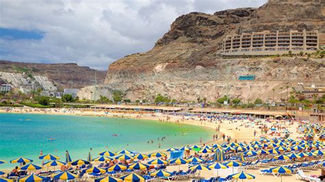 zimbra gran canaria.